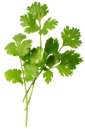 Parsley